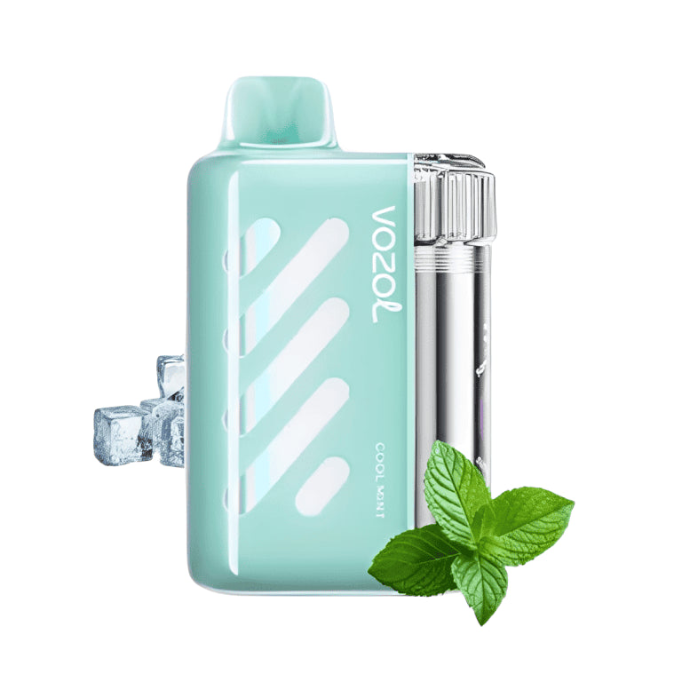 Vozol Vista 40000 Cool Mint